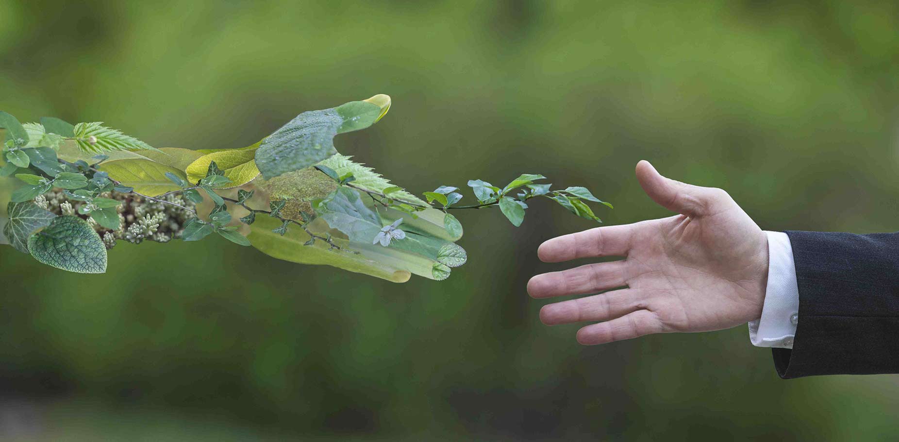 rse background image